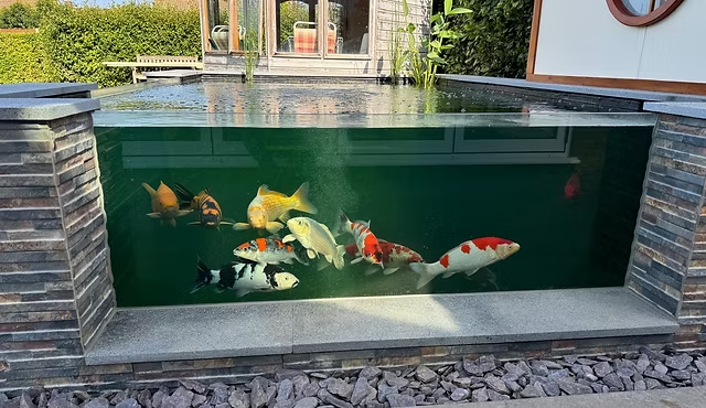 Koi Pond Glass – Bringing Your Koi Pond to Life